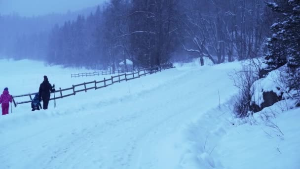 Family Ski Running Walking Norway Winter Blizzard — Stock video