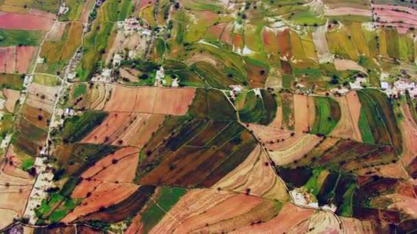 Aerial View River Agricultural Crops Growing Farmland India — Vídeo de Stock