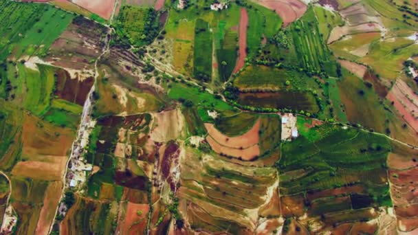 Aerial View Agricultural Crops Growing Farmland India — Vídeos de Stock