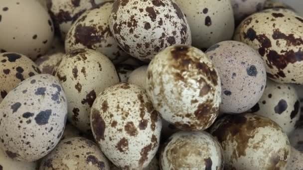 Quail Eggs Considered Delicacy Many Parts World Including Asia Europe — Stockvideo