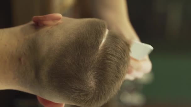 Barber Uses Hair Spray White Comd Making Pretty Hair Shape — Stok video