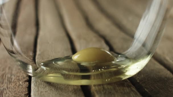 Slow Motion Egg Yolks Dropping Bowl — Αρχείο Βίντεο