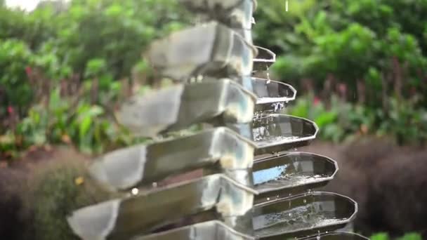 Piece Art Work Botanical Garden Feel Relax Watch Water Dripping — ストック動画