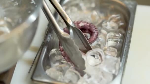 Fresh Purple Octopus Tentacle Being Layed Settled Ice Cubes Metal — Stok Video