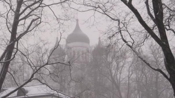 Tallinn Heavy Snowstorm Winter Othrodox Church Distance Trees Foreground — Stok video