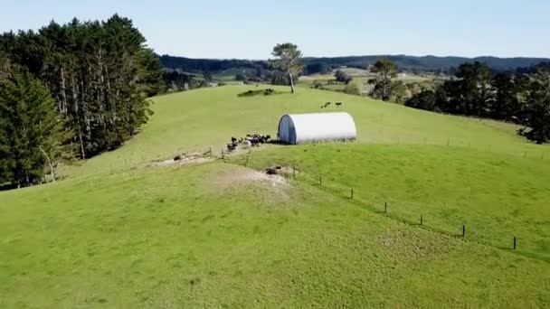 Drone Shots Farmland Field Open Area — Wideo stockowe