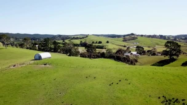 Drone Shots Farmland Field Open Area — Wideo stockowe