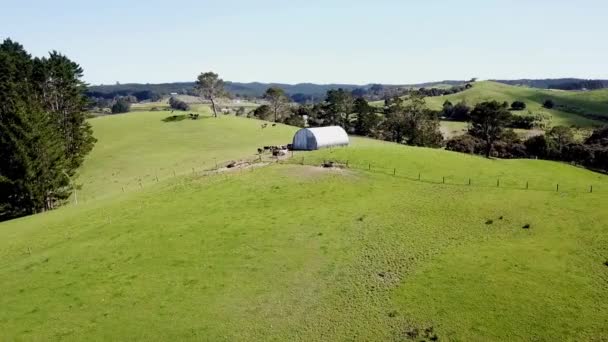 Drone Shots Farmland Field Open Area — Stock videók