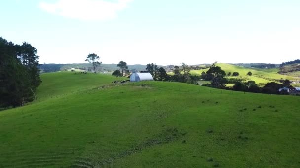 Drone Shots Farmland Field Open Area — ストック動画
