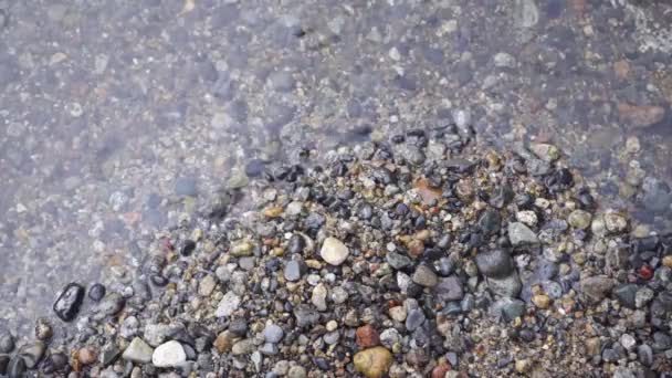 Close Crystal Clear Water Lapping Colorful Pebbles — Stok video
