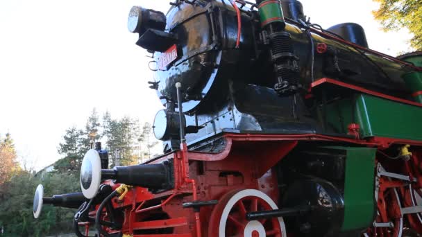 Locomotive Bulgarian King Ferdinand Train Produced 1911 Germany Museum Exhibit — Stock Video