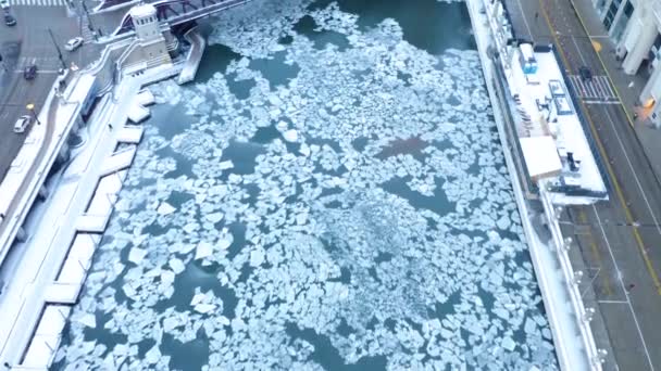 Повітряні Кадри Замерзлої Річки Чикаго Протягом 2019 Року Polar Vortex — стокове відео