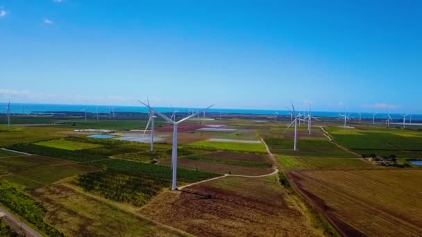 Ветряная Электростанция Пуэрто Рико — стоковое видео
