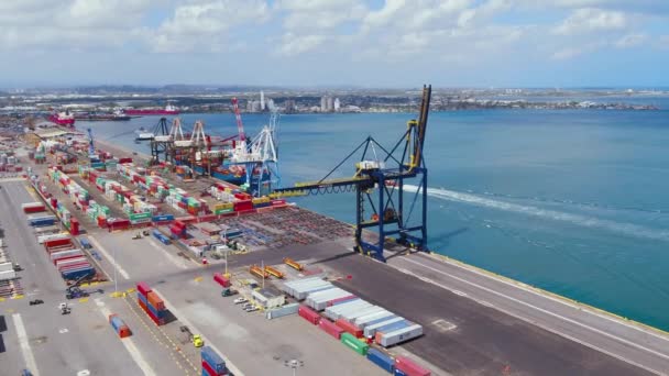 Port Puerto Rico Situated San Juan — Vídeo de Stock