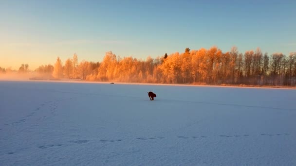 Hungarian Viszla Running Snowy Frozen Lake Lovely Winter Landscape — Vídeo de Stock