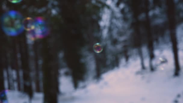 Rainbow Colored Soap Bubbles Flying Suspended Air Snowy Forest Background — стоковое видео