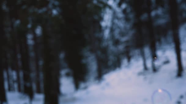 Rainbow Colored Soap Bubbles Flying Suspended Air Snowy Forest Background — Video