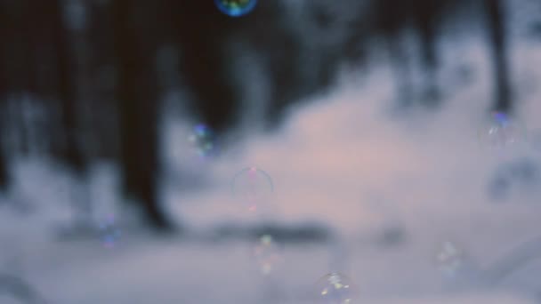 Rainbow Colored Soap Bubbles Flying Suspended Air Snowy Forest Background — Vídeo de Stock