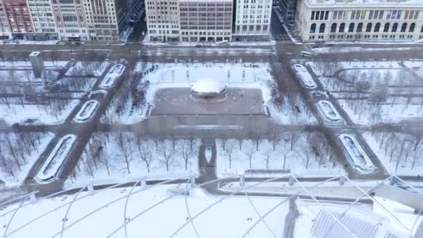 2019 Polar Vortex Millennium Park Chicago Illinois — ストック動画