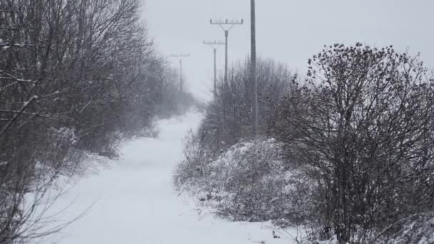 Verschneite Straße Mit Sträuchern Und Stromleitungen Und Schnee Der Zeitlupe — Stockvideo