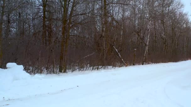 Ein Mann Räumt Mit Einem Geländewagen Auf Einem Ländlichen Kanadischen — Stockvideo