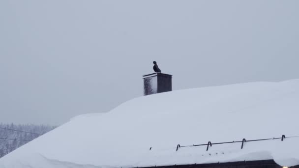 Mucha Nieve Los Tejados Noruega Después Tormenta Nieve — Vídeos de Stock
