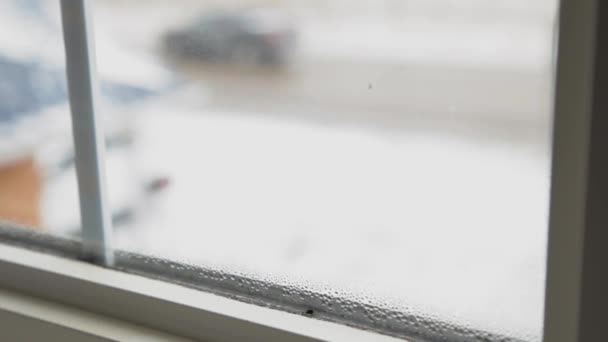 Frosted Window Fresh Snowfall — Vídeo de stock