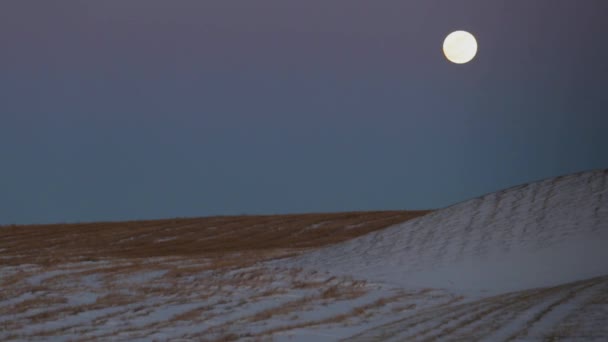 Una Super Luna Cima Campo Cubierto Nieve — Vídeos de Stock