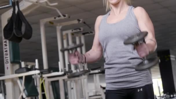 Eine Fitte Blonde Frau Macht Hammerlocken Mit Kurzhanteln Fitnessstudio — Stockvideo