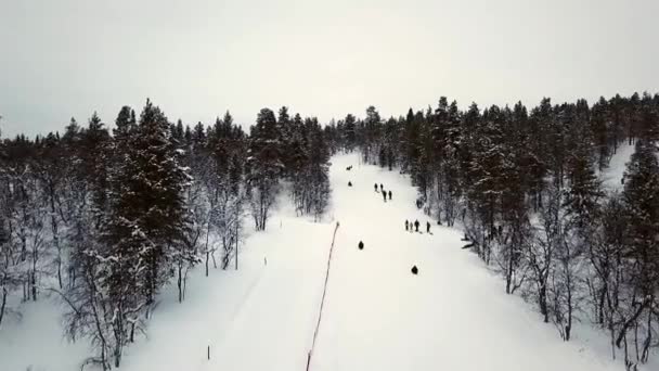 Drone View Tobogganning Saariselka Laponia Finlandia — Vídeos de Stock