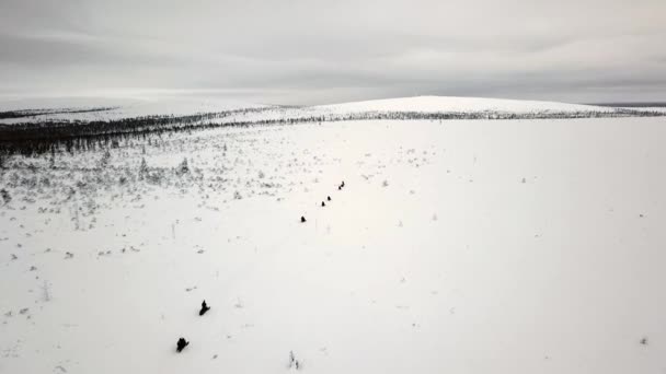 Drone View Snowscootering Saariselka Lapland Finland — Stockvideo