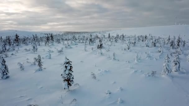 Drone Uitzicht Een Besneeuwd Landschap Saariselka Lapland Finland — Stockvideo