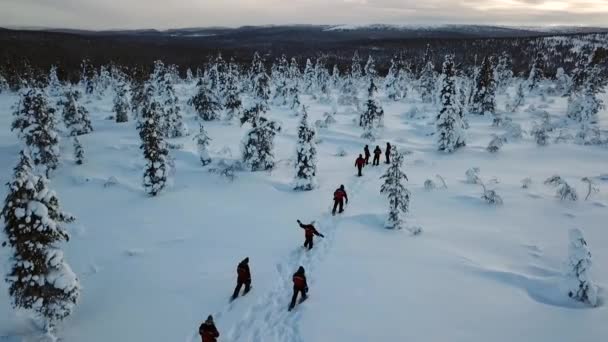Беспилотный Вид Прогулку Снегоступах Иселке Финляндия — стоковое видео