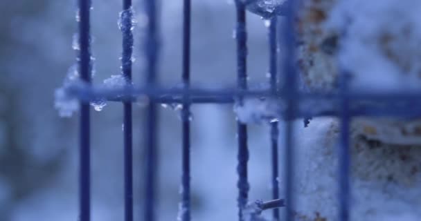 雪の中で鳥のフィーダーのフィールドショットの遅い動き浅い深さ — ストック動画