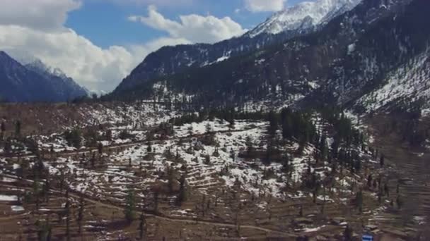 Film Vypadá Kinematograficky Letecké Kamery Pan Borového Lesa Zasněžené Hoře — Stock video