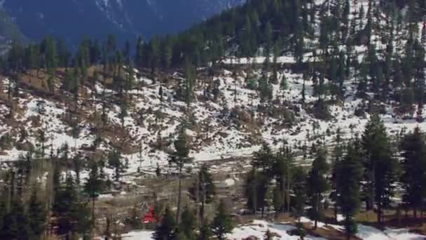 Bosque Pinos Pueblo Vista Aérea Montaña Nieve — Vídeos de Stock