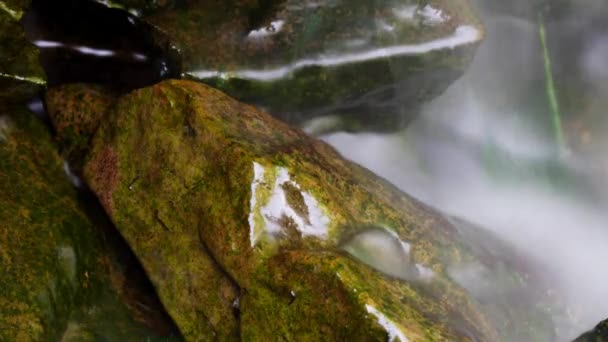 Time Lapse Time Exposure Small Waterfall Algae Insect Larvae Cling — Stockvideo