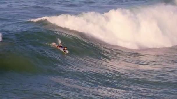 Surfer Probeert Een Golf Vangen Bij Jaws Aan Noordkust Van — Stockvideo