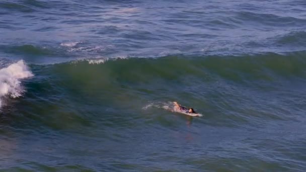 Female Surfer Trying Catch Wave Jaws North Shore Maui Hawaii — Vídeo de Stock