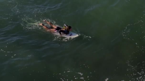 Widok Lotu Ptaka Surferów Wiosłujących Kierunku Następnej Wielkiej Fali Szczękach — Wideo stockowe