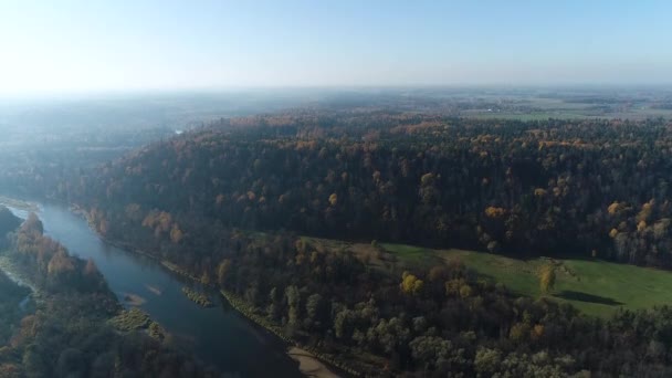 Kleurrijke Seizoensbossen Herfst Vallen Vanuit Lucht Breed Uitzicht — Stockvideo