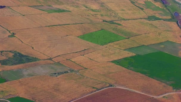 Vista Aérea Las Granjas Amarillas Verdes Con Río Seco Aparte — Vídeos de Stock