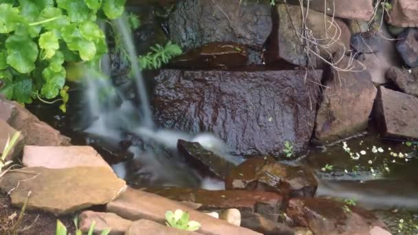 Délai Exposition Dans Temps Une Petite Cascade Étang Eau Douce — Video