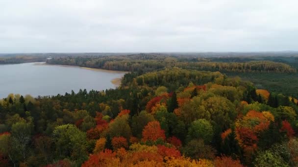 Kleurrijke Seizoensbossen Moerasmeer Herfst Luchtfoto — Stockvideo