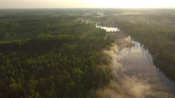 Misty Luz Solar Manhã Sobre Outono Floresta Lago Paisagem Paisagem — Vídeo de Stock