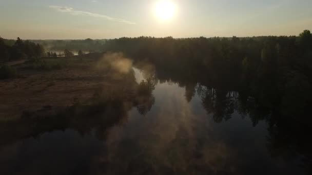 Misty Ochtendzonlicht Herfst Bos Meer Schilderachtige Landschap Lucht Breed Uitzicht — Stockvideo
