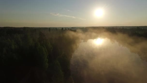 Sonbahar Ormanı Gölü Manzaralı Kırsal Alan Manzarası Üzerine Puslu Sabah — Stok video