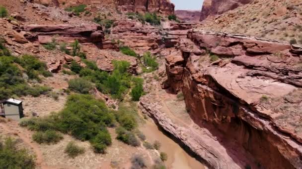 Fly Coyote Gulch Escalante Iconic Utah Red Rock Bright Green — Stock Video