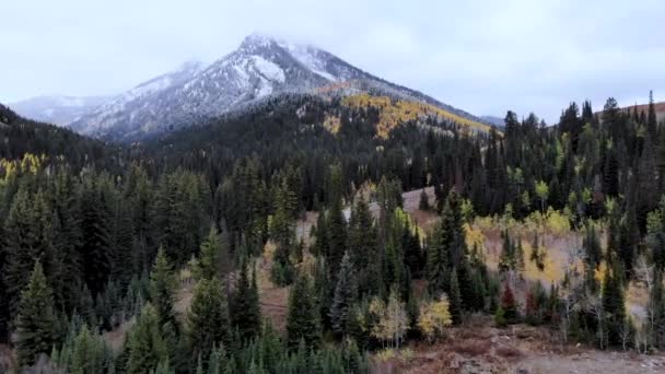 Utah Big Cottonwood Canyon Its Transition Fall Winter — Stock Video