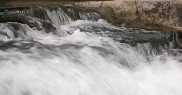 Aufnahmen Der Stromschnellen San Marcos River Auf Einer Langen Linse — Stockvideo